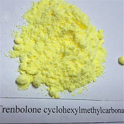 Parabolan-Pulver | Hexabolan | Trenbolonhexahydrobenzylcarbonat | Tren Hexa